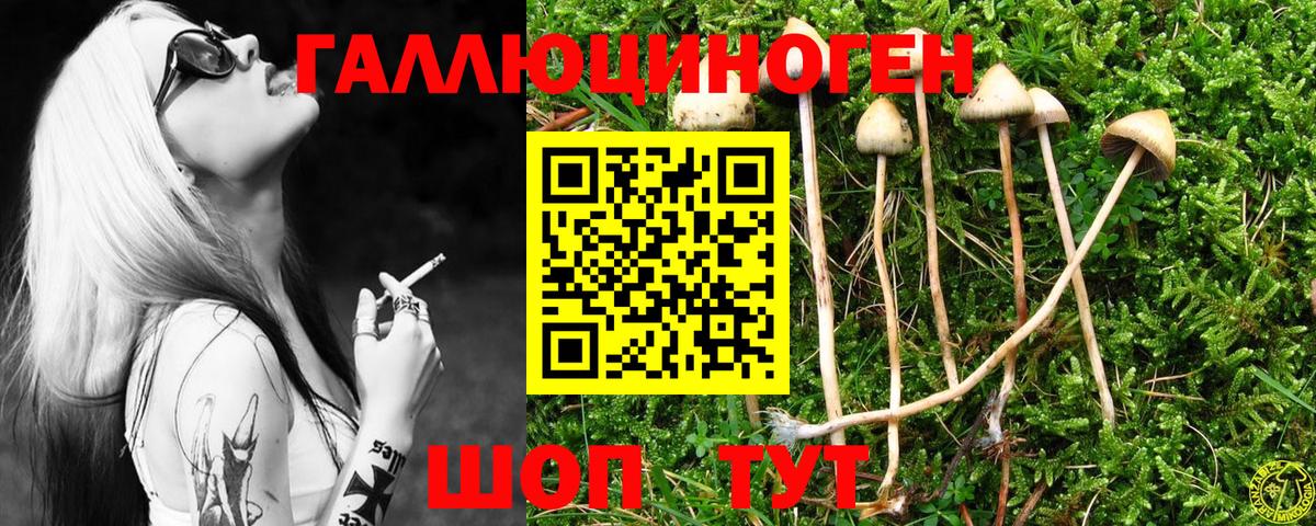 Галлюциногенные грибы ЛСД Дзержинский