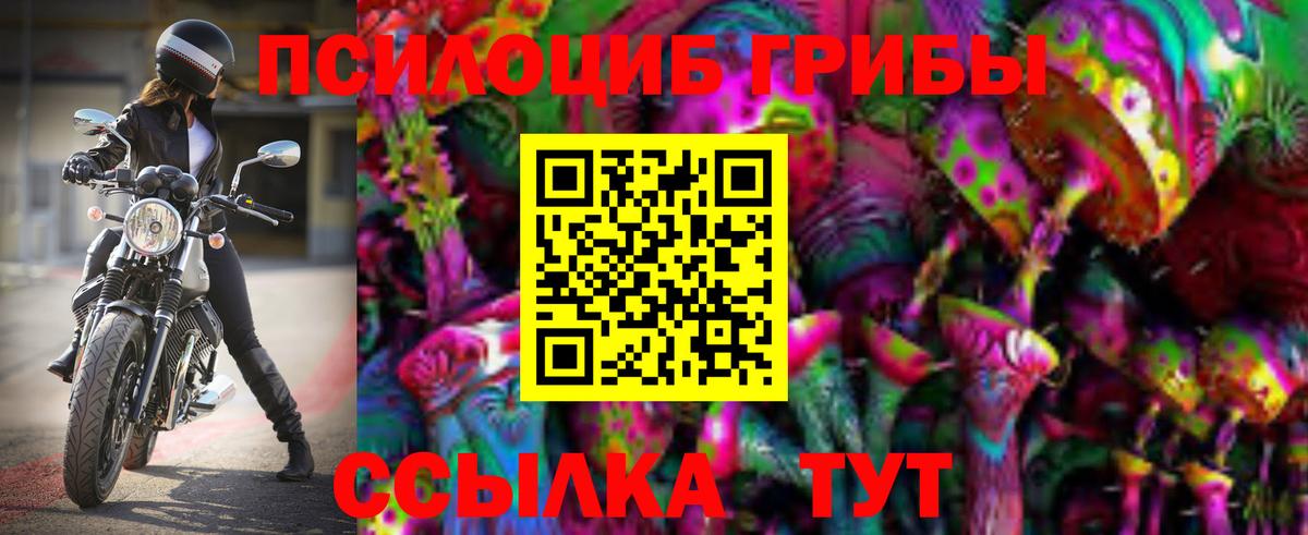 Дзержинский  Галлюциногенные грибы прущие грибы  Вход с VPN 